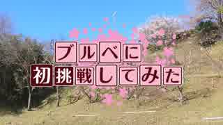 ブルベに初挑戦してみた【ゆっくり実況】