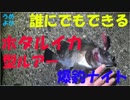 誰にでもできる！簡単ホタルイカ型ルアーで爆釣　Firefly squid lures fishing