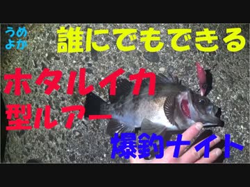 誰にでもできる！簡単ホタルイカ型ルアーで爆釣　Firefly squid lures fishing