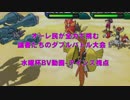 【ポケモンUSM】オーレ民が全力で挑む論者たちのダブルバトル大会！水曜杯BV動画-アインズ視点