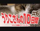 うりこさんの10日間 - 2019#6
