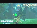 【実況】新たな冒険へ！ゼルダの伝説 ブレスオブザワイルド 剣の試練リベンジ【序位後編】