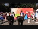 【東大生が】2017駒場祭⑨東大踊々夢【踊ってみた】Part4