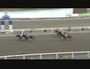 2019年3月20日高知競馬4R ＬＢ１７周年記念協賛 直哉４６周年記念特別(C3-7組) カレンヒップスター