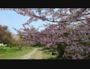 【生海月】なまくらじお【2019.3.22】