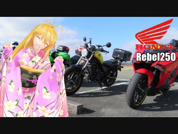 【KLX125】新弦巻マキと名所探訪 第25話「2018年年越しツーリング編その⑤」