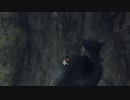 【人喰いの大鷲トリコ】大鷲の崖上り【PART18】