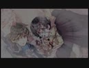 【実況】ルーガス衝撃の過去！灰鷹のサイケデリカPart53