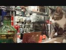もずくさんと一杯