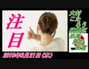 17-A 桜井誠、大村こたろう、練馬区　政策周知街宣　菜々子の独り言　2019年3月21日(木）