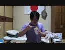 金バエライブ #10258070　 2013/3/11 19:37