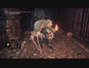 【実況】奇跡のダークソウル3 part26