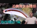 迫真海水水槽部　マリンアッー！クアの裏技.mp6