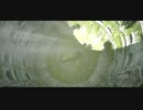 【アラサーBBAとでっかい巨像】ワンダと巨像  初見実況 part.10