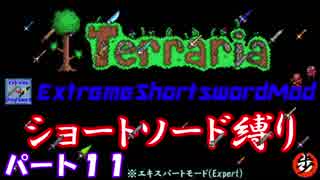 [Terraria+MOD]　ショートソード縛りEX パート１１　[ゆっくり実況]