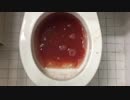 トマトをトイレに流してみた２