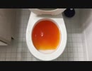 ファンタをトイレに流してみた