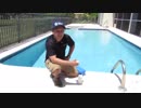 How to Test your Pool Water Phosphates - Master Touch Pool Service1