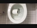 １ロール分のトイレットペーパーをトイレに流してみた２