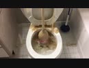 メントスコーラをトイレに流してみた１