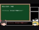 ゆっくりまりさがドラクエ1の疑問を(雑に)答える動画2