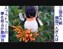 三国志大戦 傾国ぺんぎんはスプラトゥーンの夢を見るか 第108羽 (vs快進撃小華with剛★掌★波)