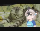 ねこゴマ！【けものフレンズ２MAD】