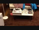 金バエライブ #12271599　2013/5/1 2:05