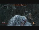 SEKIRO  獅子猿