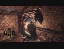 【実況】奇跡のダークソウル3 part27