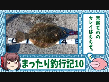 まったり釣行記⑩☆2018年10～2019年3月