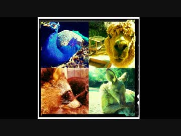 【アーカイブ】【カオスラジオ】MSSPチャンラジ第4回【M.S.S Project】