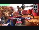 【CR17】亥年に猿が猪突猛進【28突進目】