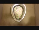 マシュマロをトイレに流してみた７