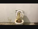 メントスコーラをトイレに流してみた２