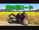 【モトブログ】菜の花の南房総半島ツーリング【CBR250RR】