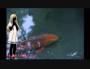 【CoC】ヒトの形Part3 AさんとBさん編