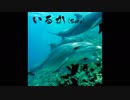 いるか/Dolphine(Beta)