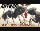 【朗報】女王アリがいないアリの巣では働きアリが卵を産む！