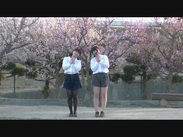 【ひな(ё)&amp;ぽちび】　ハイドアンド・シーク　【踊ってみた】