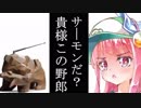 茜の鮭茶漬け#2