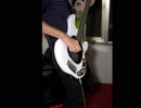 通靈童子シャーマンキング  OP1 Over Soul(BASS COVER)