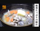【ノンプロフェッショナル】根菜たっぷりの豚汁