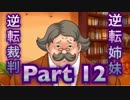 【実況】逆転裁判 蘇る逆転やろうぜ！　その１２ッ！