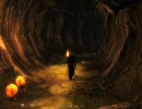 [PC] Oblivion - Shivering Isles Part92
