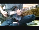 【Anthem】WildAnthem 弾いてみた