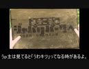 けものフレンズ2の何が問題と感じるのか