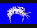 海洋虫ゆめおBB