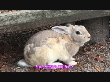 YAMAHA兄妹で行く四国ツーリング Part4