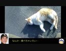 ポケモンGO全市町村制覇の旅(日本一周) part07 大分・宮崎編 【ゆっくり＆CeVIO】